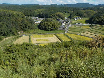 ほ場整備後（北村地区）