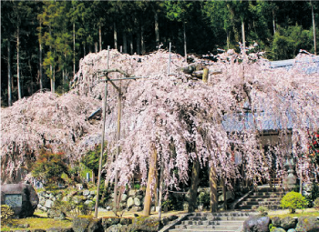 和佐又山ヒュッテ