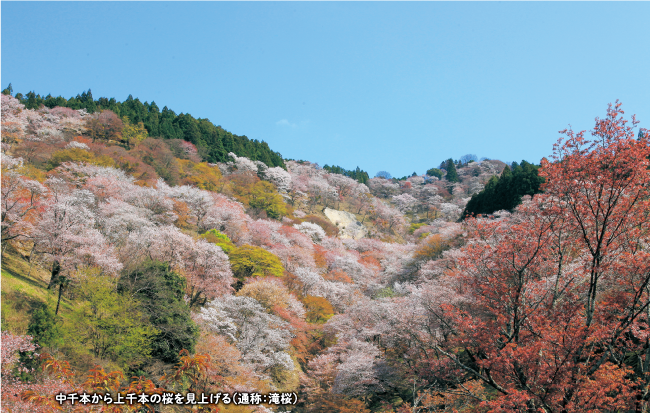 野迫川村写真