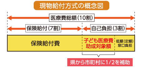 現物給付方式の概念図