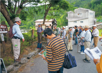 石舞台古墳春のライトアップ