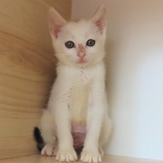ソルティ正面