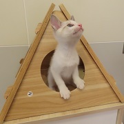 ヨモ