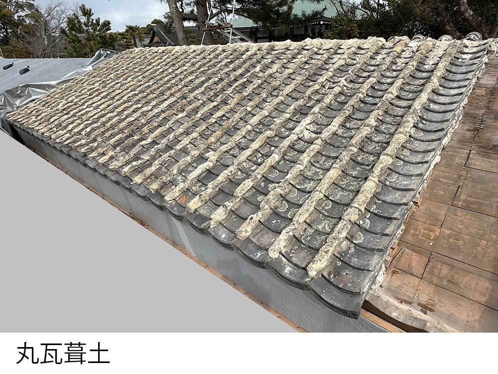 丸瓦葺土