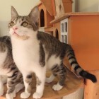 スポッチャトップ