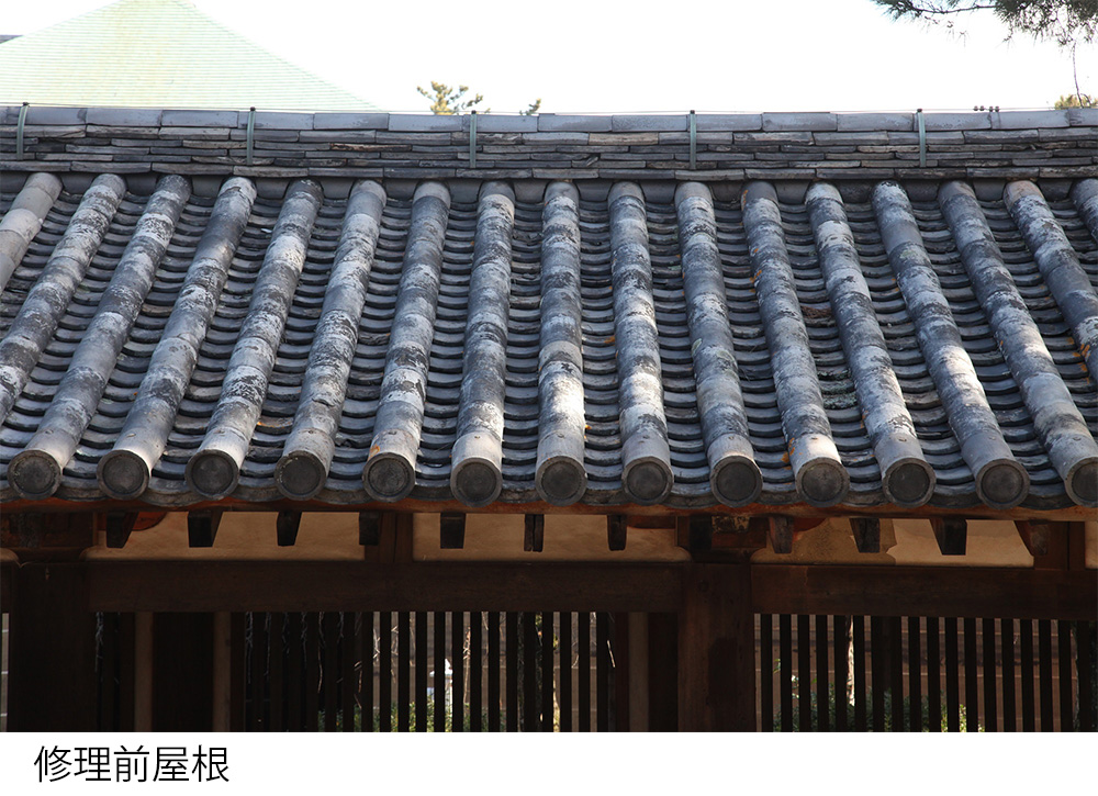 廻廊修理前屋根1