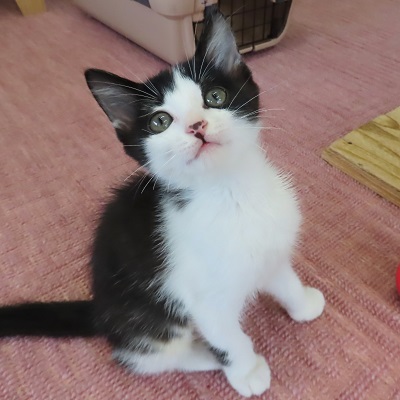 正面写真