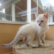 振り返りじゃみ子