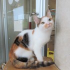 イーヴィルトップ