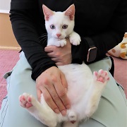 パル抱っこ