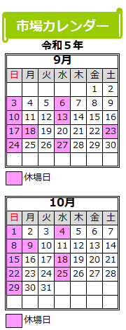 202309