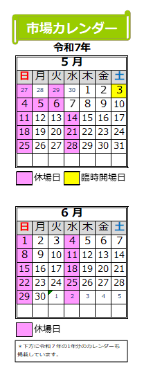 2025_6