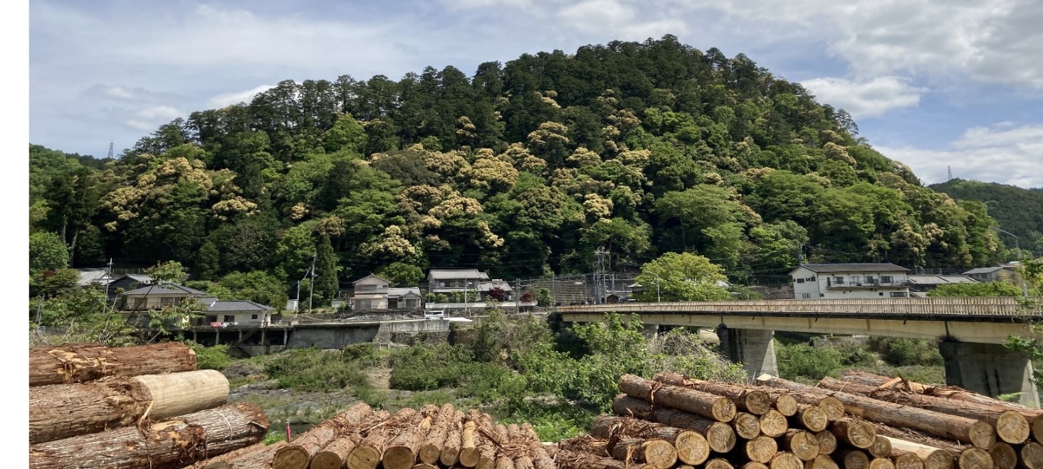 山