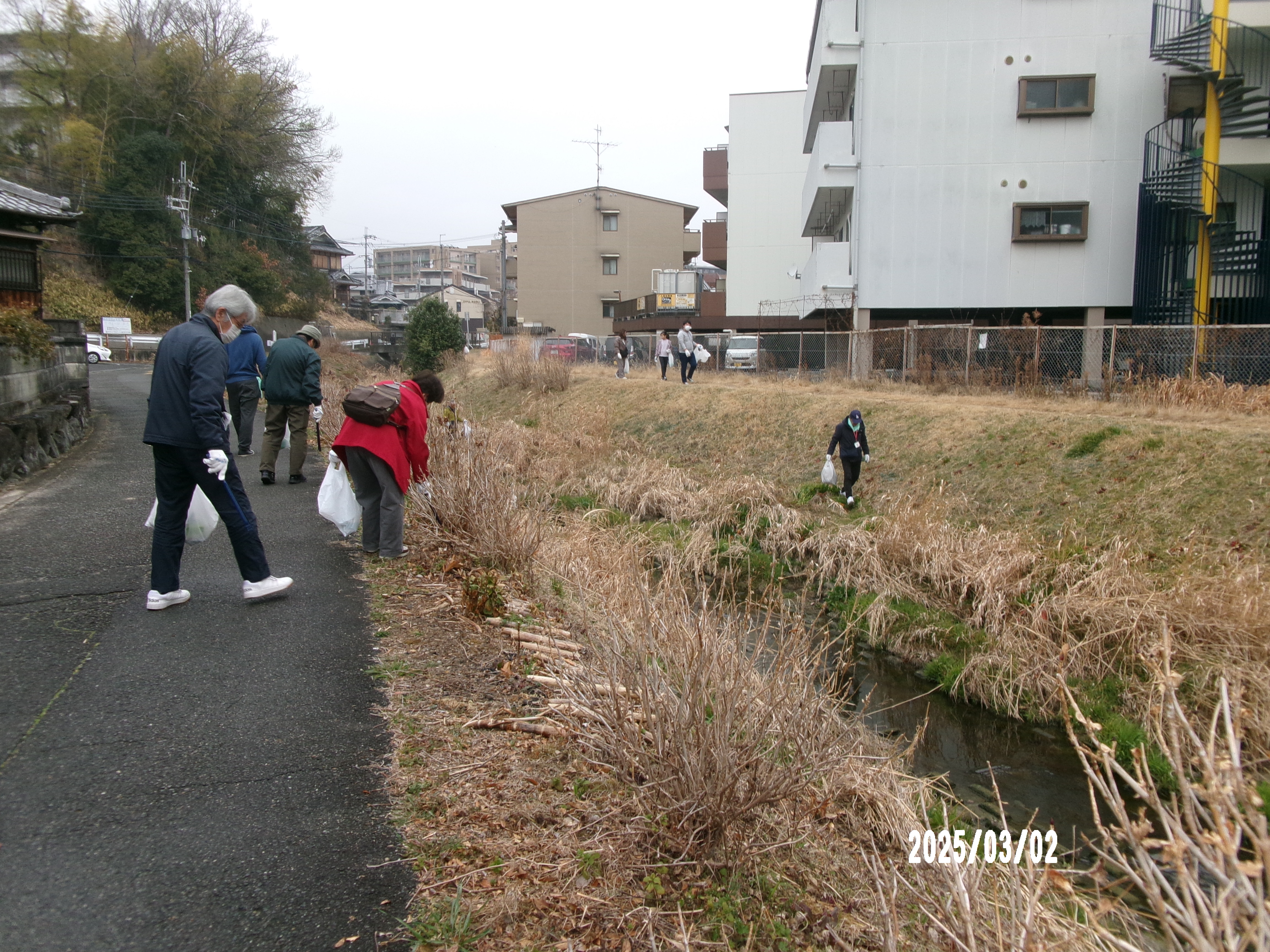 ikoma