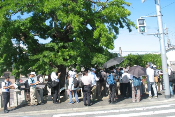 植物のまで解説