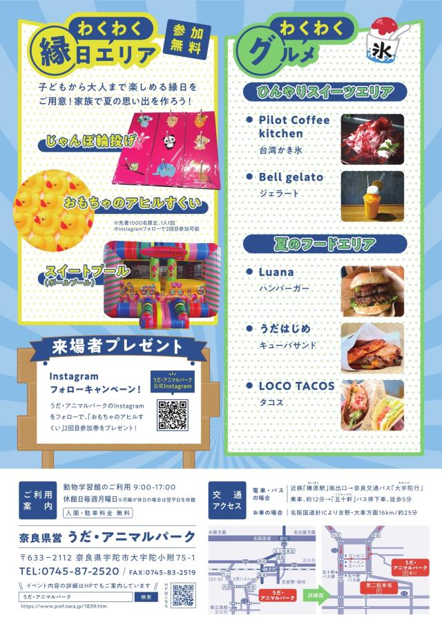チラシ裏