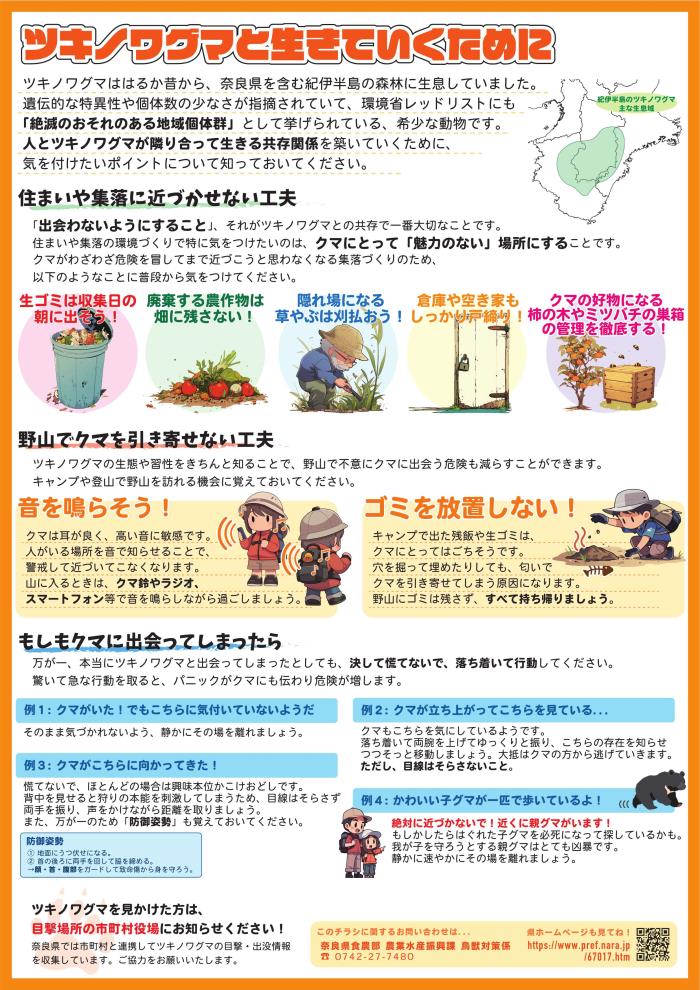 chirashi2