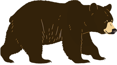 kuma