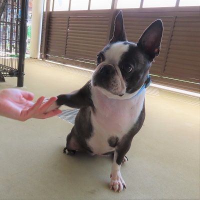 ナインツお手