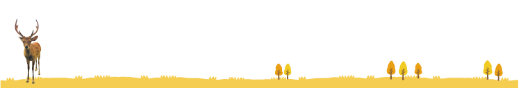 イメージ背景