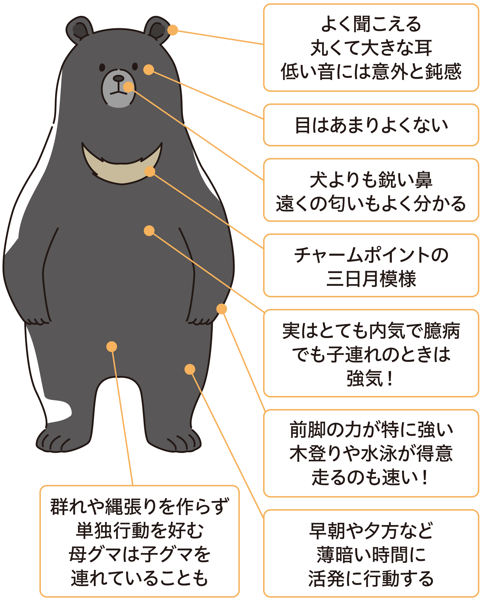 ツキノワグマ