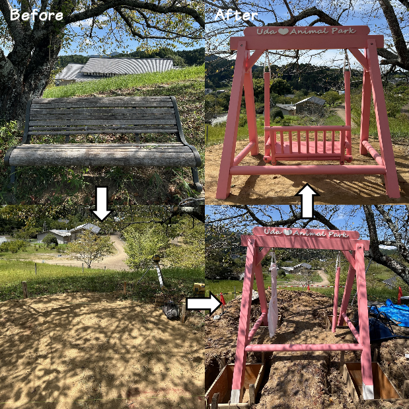 before after