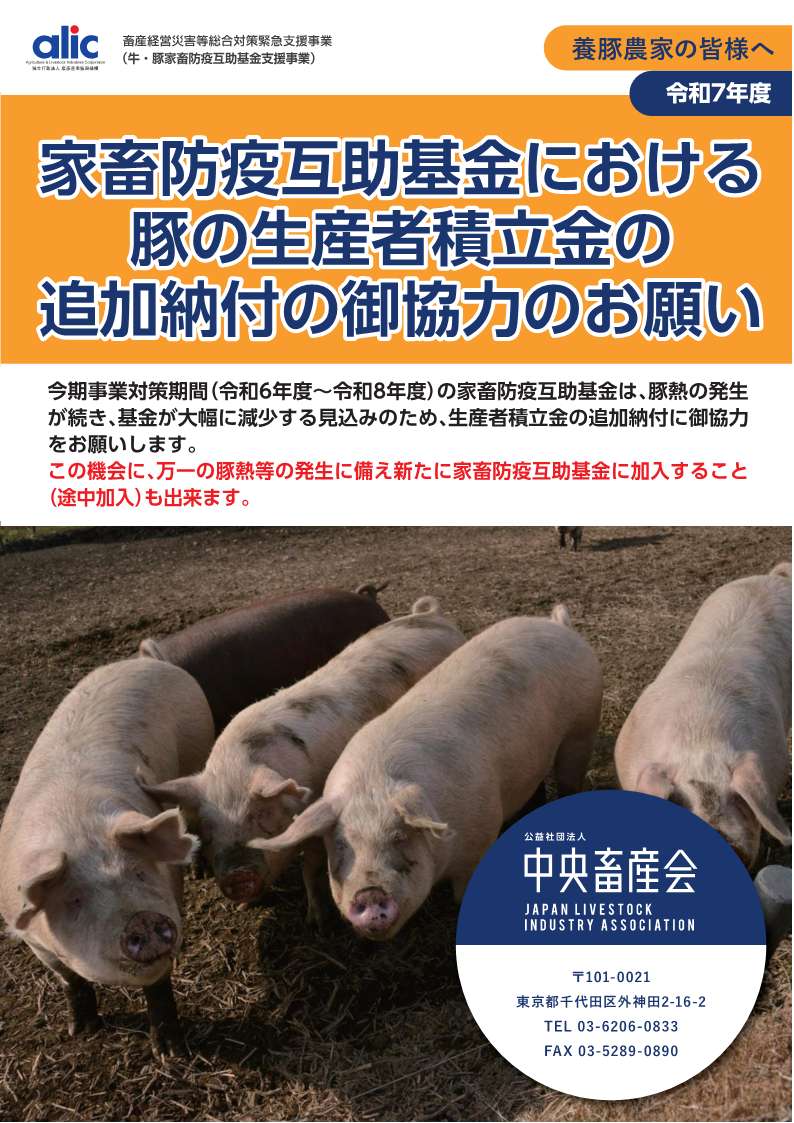 チラシ表紙