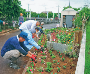 花や肥料の種類は日々アップデート