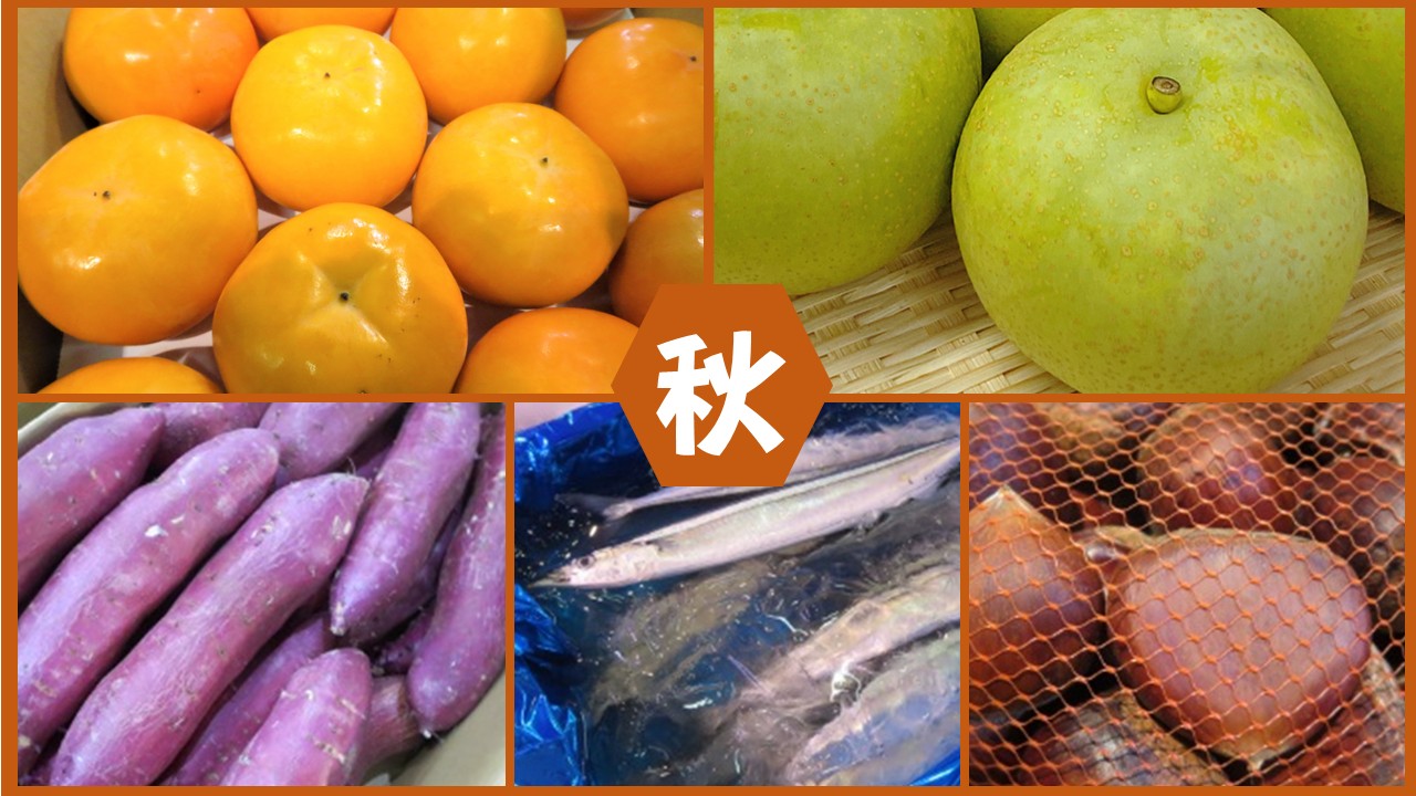 トップイメージ秋