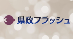 県政フラッシュ