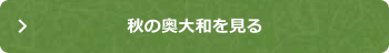 秋の奥大和を見る