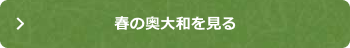 春の奥大和を見る