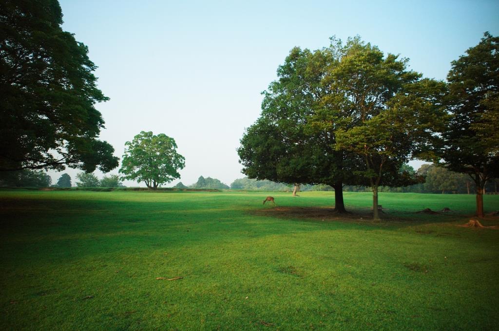 画像が表示できません。