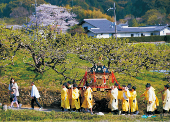ちゃんちゃん祭り