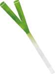 白ネギ