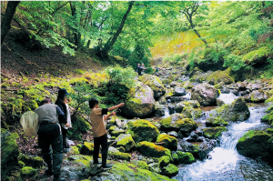 和佐又渓流釣り場