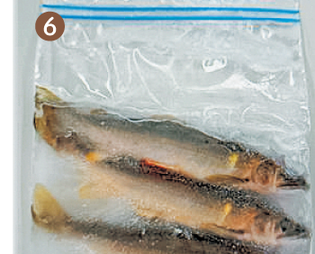 頭側から尻側へ指で優しく絞る