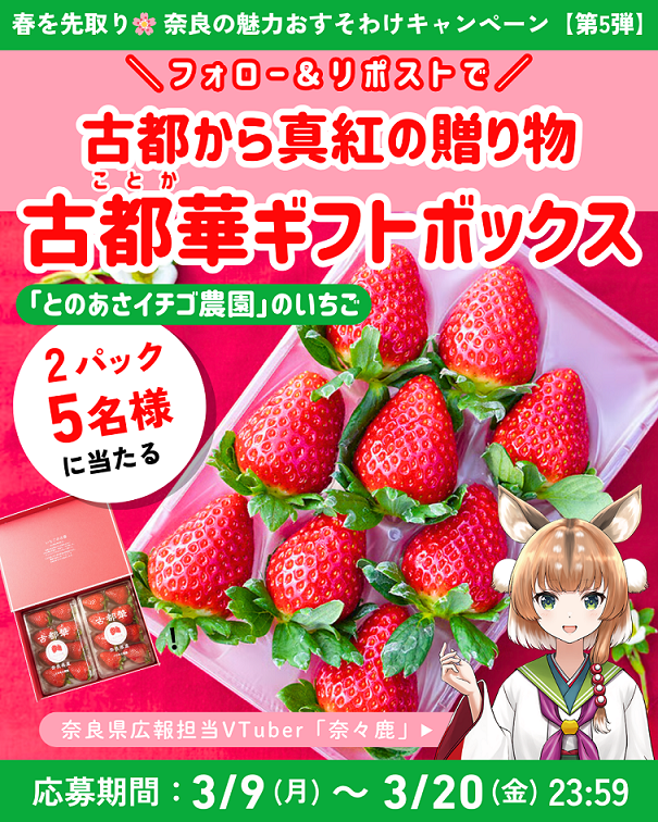 キャンペーン第5弾