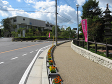 きれいな歩道