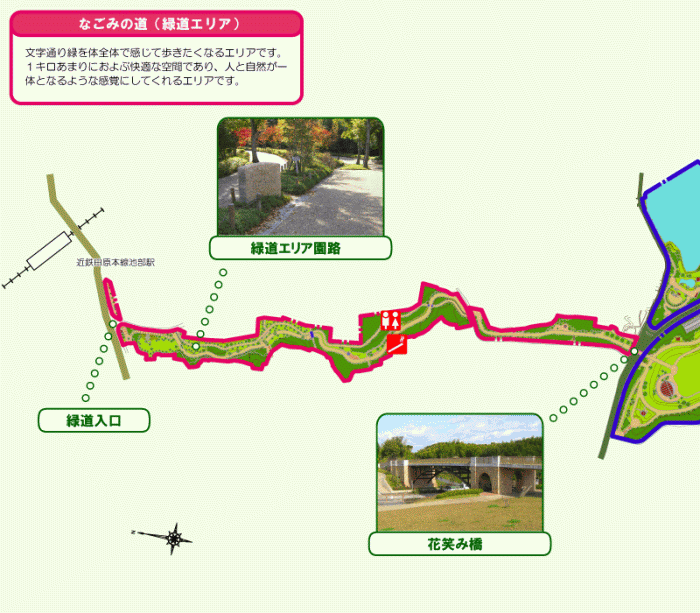 緑道エリア