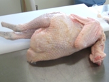 大和肉鶏