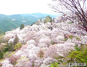 吉野山(吉野町)