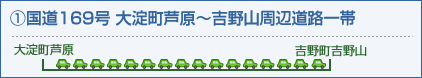 1.国道169号 大淀町芦原~吉野山周辺道路一帯