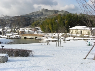 池のほとり