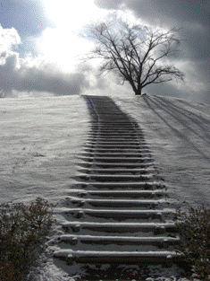 雪景色