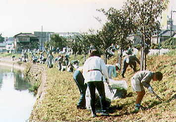 竜田川清掃写真