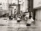 王寺町の浸水