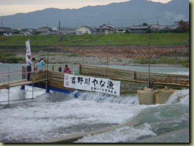 吉野川やな漁