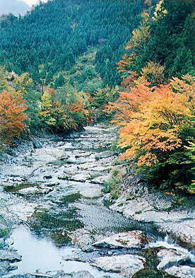 御手洗渓谷　秋の紅葉