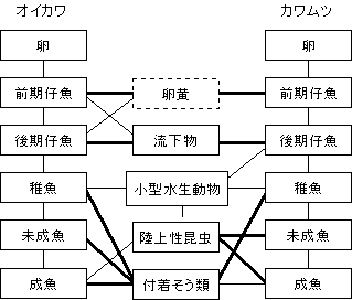 オイカワとカワムツの餌生物